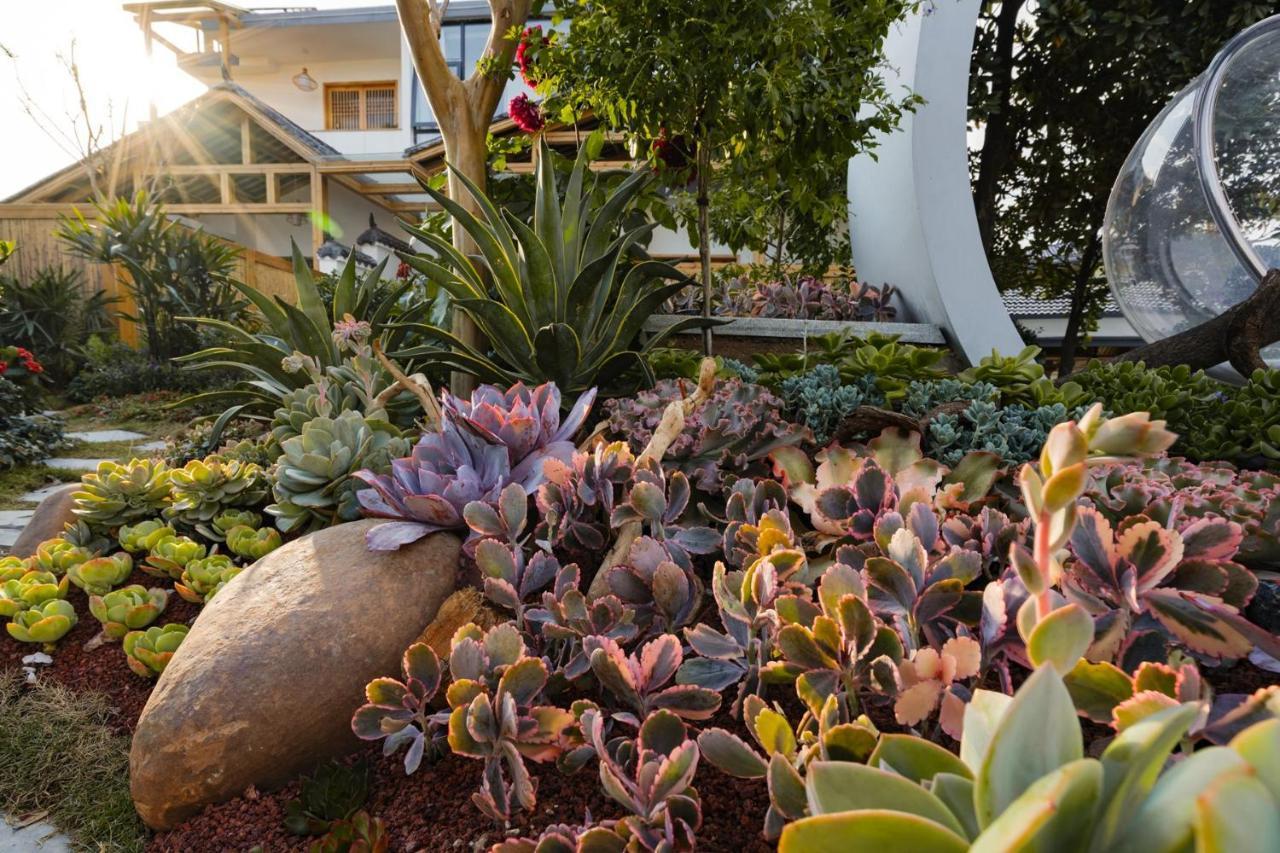 Su Xin Resort Inn زانغجياجي المظهر الخارجي الصورة